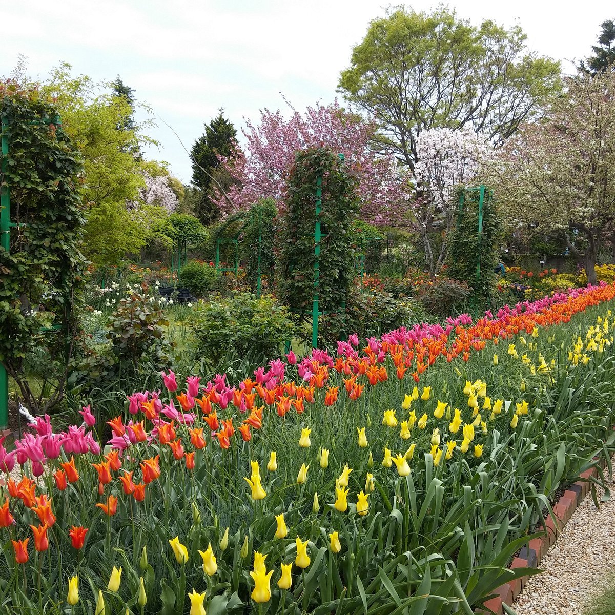 🌳 하마나코 가든 파크 (하마나코 가덴 파쿠) 이미지 8